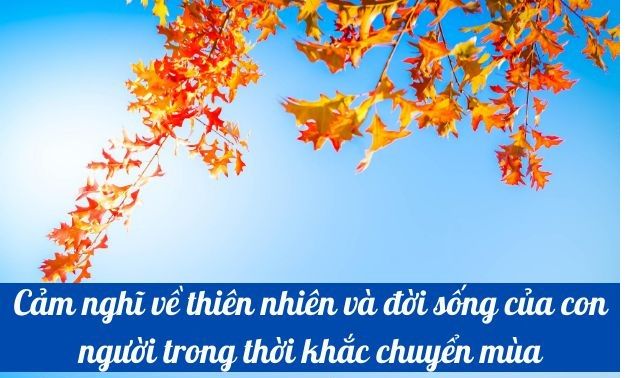 Hình ảnh minh họa số 1 (Nguồn: internet)
