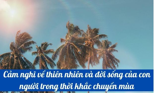 Hình ảnh minh họa số 1 (Nguồn: internet)