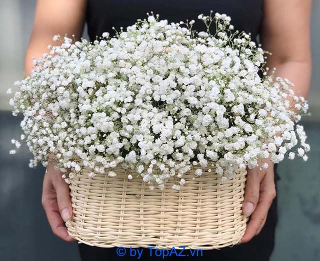 Đặt hoa sinh nhật chất lượng tại Phú Nhuận