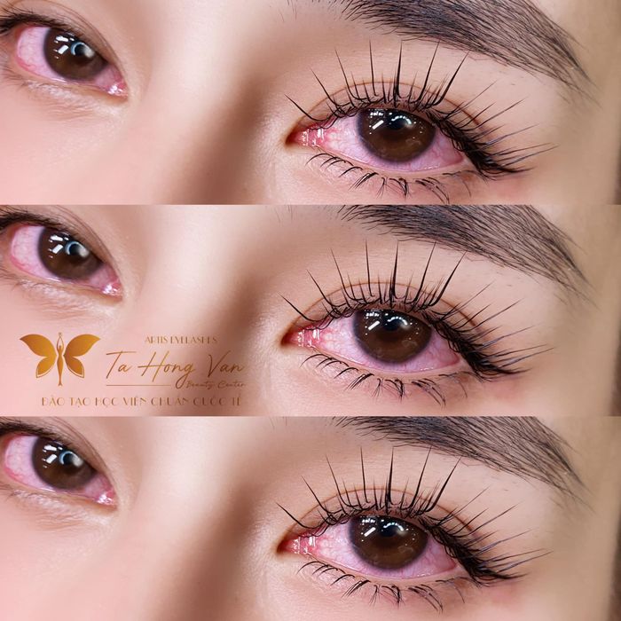 Bộ sưu tập hình ảnh mi nối nghệ thuật từ Tạ Hồng Vân Beauty
