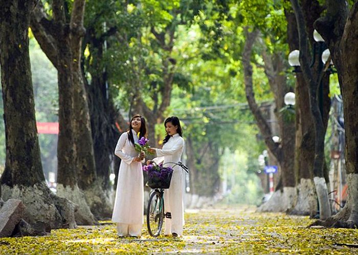 Hình ảnh minh họa số 1 (Nguồn: Internet)