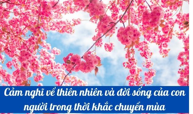 Hình ảnh minh họa số 2 (Nguồn: internet)