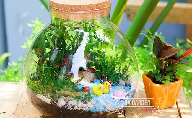 9xGarden - Nâng tầm không gian sống