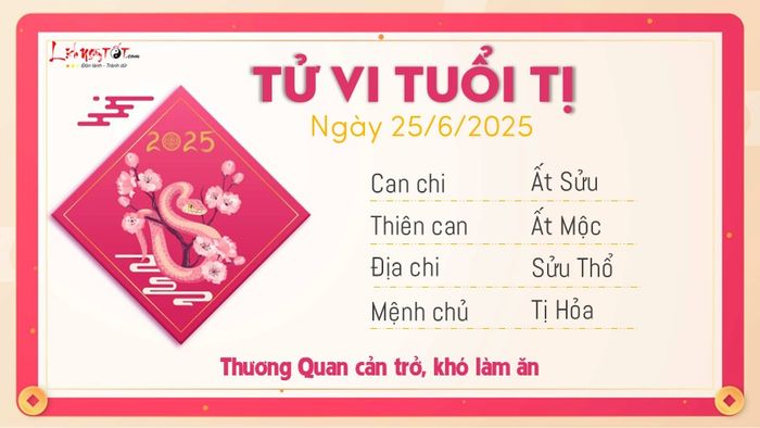 Tử vi ngày 25/6/2025 dành cho tuổi Tị