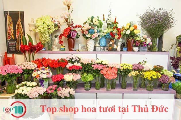 Don Bosco Flower - Nơi gửi gắm những thông điệp yêu thương