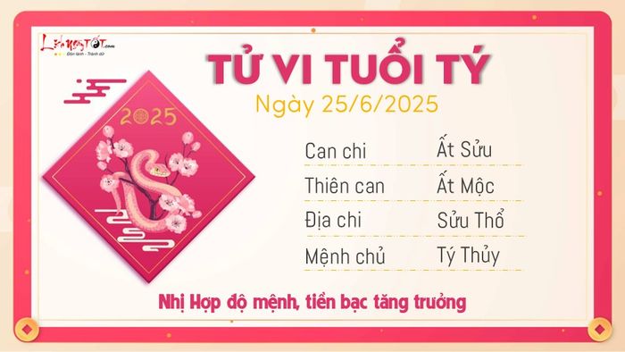 Tử vi 25/6/2025 - Tuổi Tý