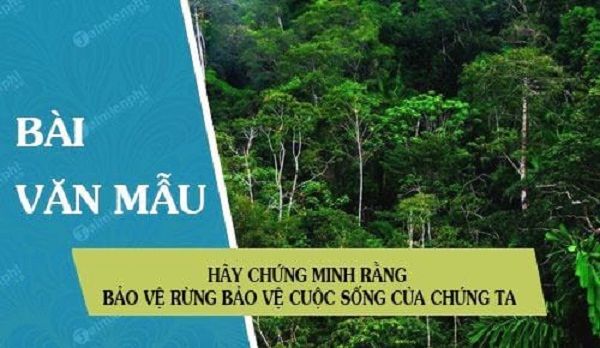 Hình ảnh minh họa sống động (Nguồn: Internet)