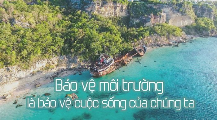 Hình ảnh minh họa sinh động về rừng xanh (Nguồn: Internet)
