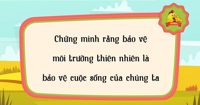 Tuyển tập hình ảnh ấn tượng về vẻ đẹp của rừng xanh (Nguồn: Internet)