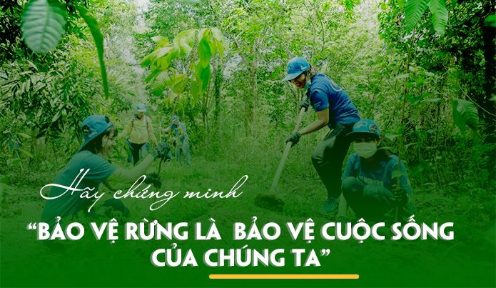 Hình ảnh minh họa số 1 - Kỳ quan thiên nhiên hùng vĩ (Nguồn: Kho ảnh internet)