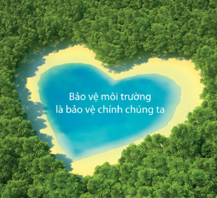 Hình ảnh minh họa sinh động (Nguồn tham khảo: Internet) - Ảnh 1