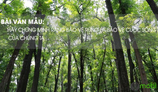 Hình ảnh minh họa sống động (Nguồn: internet)