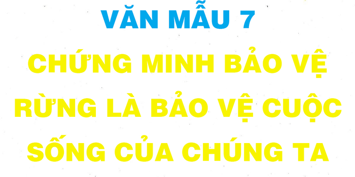 Bộ sưu tập hình ảnh đặc sắc về hệ sinh thái rừng (Nguồn: Internet)