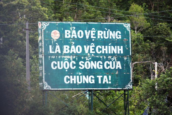 Tác phẩm nghệ thuật minh họa (Nguồn: internet)