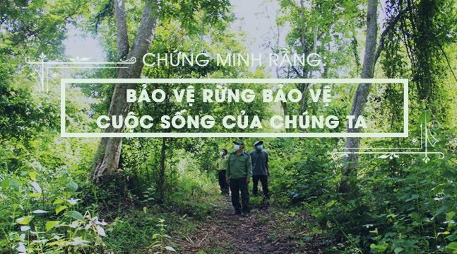 Tuyển tập hình ảnh đặc sắc về hệ sinh thái rừng (Nguồn: Internet)