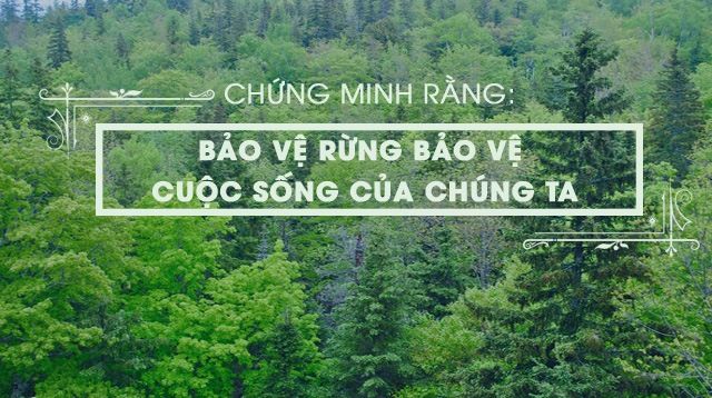 Hình ảnh minh họa số 1 - Kho tàng thiên nhiên kỳ thú (Nguồn: Internet)