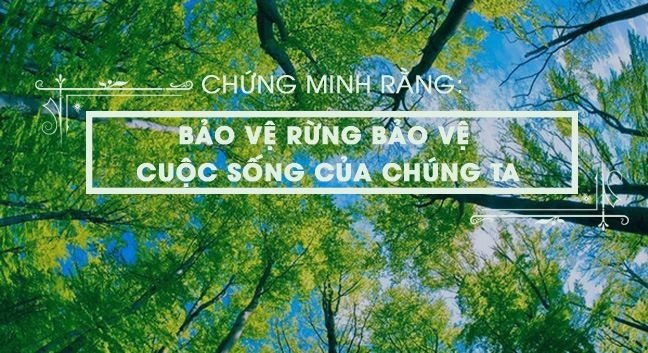 Tuyển tập hình ảnh đặc sắc về hệ sinh thái rừng Việt Nam (Nguồn: Internet)