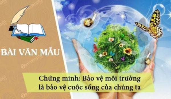 Tranh minh họa sinh động (Nguồn internet)