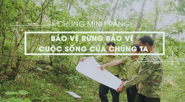 Tuyển tập hình ảnh đặc sắc về hệ sinh thái rừng (Nguồn: Internet)
