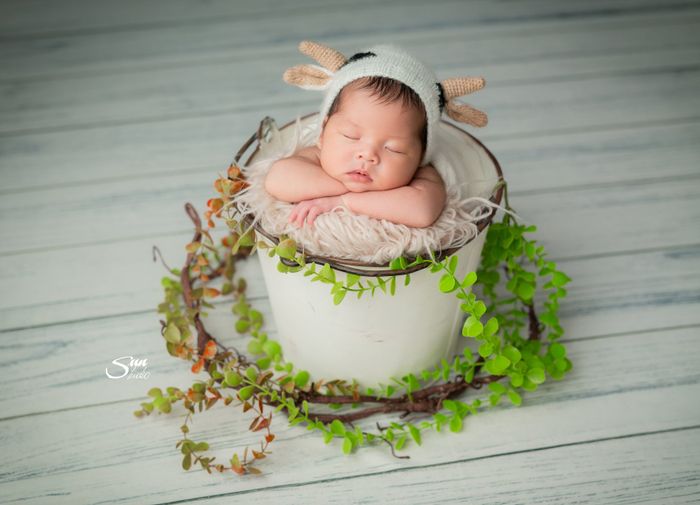 Khoảnh khắc vàng tại Sun Baby Studio