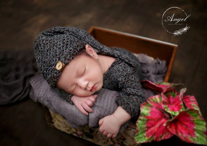 Bộ sưu tập hình ảnh đáng yêu từ Angel Studio