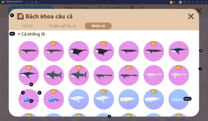 hinh-anh-blog-PTV_huong-dan-cau-ca-chi-tiet_VI02