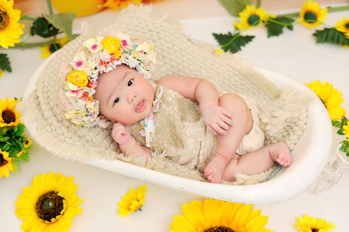 Tác phẩm nghệ thuật từ Hana Studio