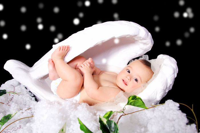 Bộ sưu tập hình ảnh đáng yêu từ Bibi Studio