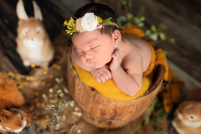 Bộ sưu tập hình ảnh đáng yêu từ Sun Baby Studio
