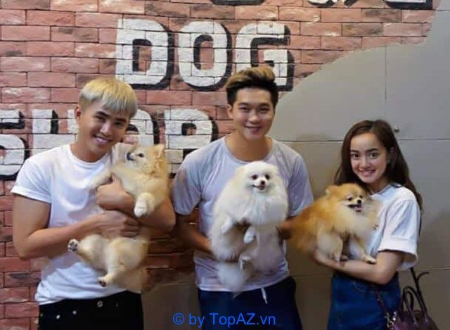 Lazy Dog Shop - Đẳng cấp thú cưng