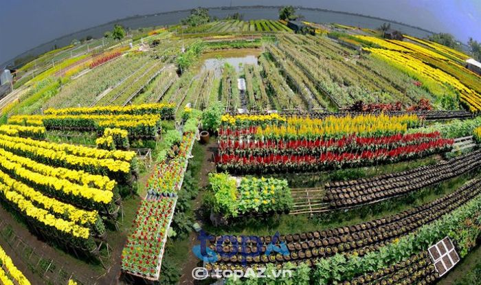 Làng hoa kiểng Sa Đéc - Vương quốc sắc màu của Đồng Tháp
