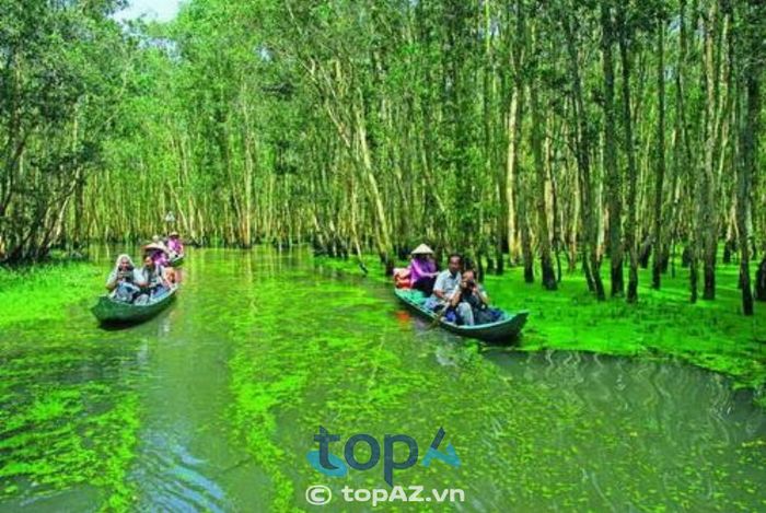 Khu du lịch sinh thái Gáo Giồng - Điểm hẹn xanh của miền Tây sông nước
