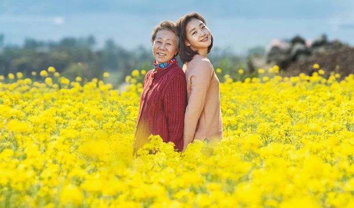 Hành trình xúc động của người bà kiên cường tìm lại cháu gái thất lạc