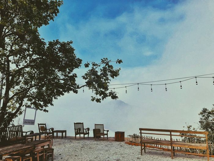 View 360° tuyệt đẹp tại Pura Vida Dalat - Nơi gặp gỡ giữa trời và đất