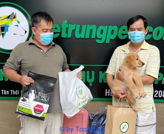 Lê Trung Pet - Địa chỉ vàng cho thú cưng thuần chủng