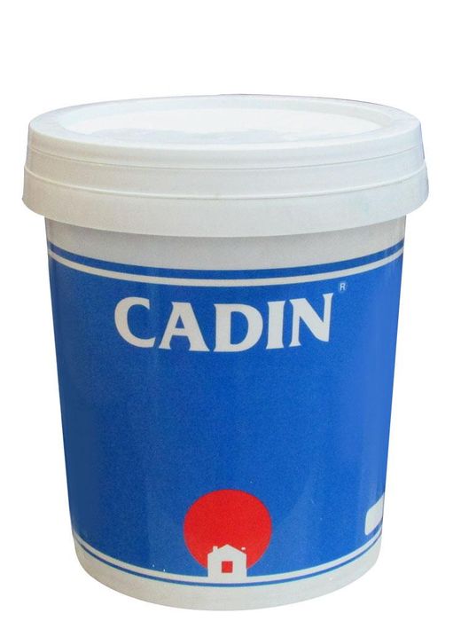 Hình ảnh minh họa sơn ngói chống thấm CADIN