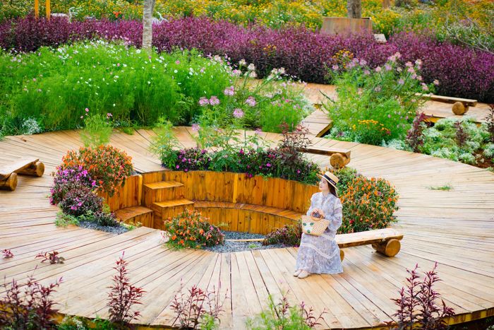 Toàn cảnh thung lũng Tà Nung huyền ảo từ Mê Linh Coffee Garden