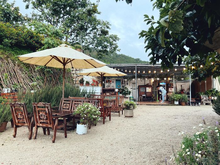 Khung cảnh hoàng hôn mê hoặc tại Pura Vida Dalat - Nơi thời gian ngừng trôi