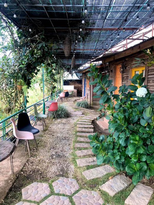 Cối Xay Gió Homestay & Coffee - Góc thư giãn lãng mạn dưới tán thông xanh