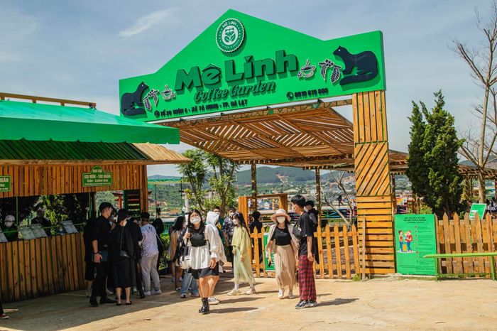 Khu vực sản xuất cà phê chồn độc đáo tại Mê Linh Coffee Garden