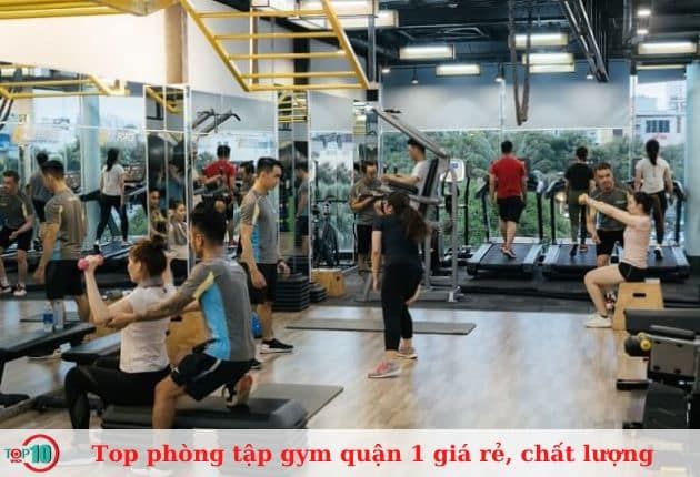 Fit Force Fitness & Yoga - Nơi hội tụ tinh hoa thể hình và yoga