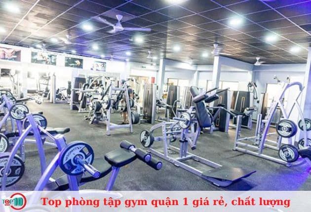 Target Fitness Center - Nơi đam mê thể hình được thăng hoa