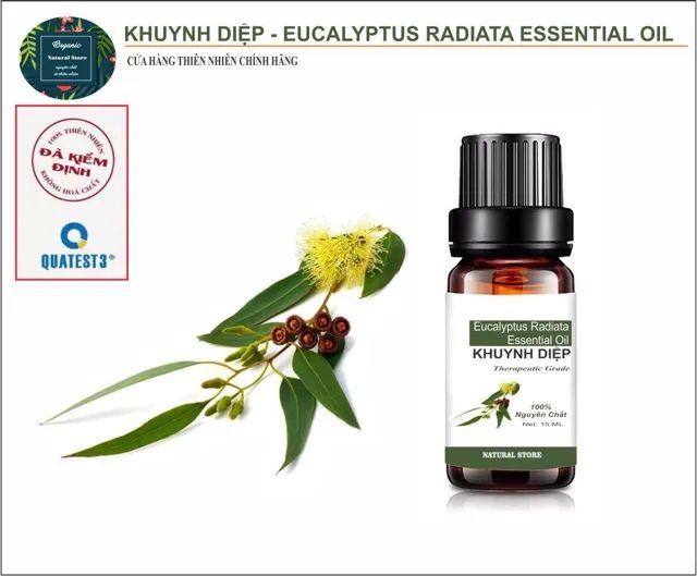 Hình ảnh chi tiết: Tinh dầu khuynh diệp An Organic - Tinh chất thuần khiết từ thiên nhiên