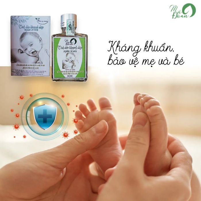 Hình ảnh chân thực: Tinh Dầu Khuynh Diệp Ngâm Củ Nén Mệ Đoan - Tinh túy từ thiên nhiên