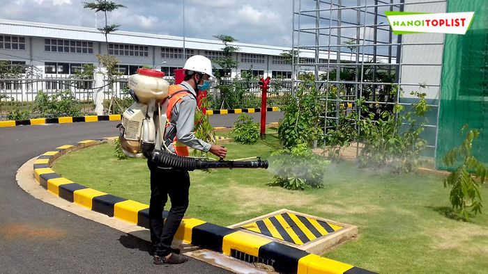 Kiểm Dịch Hà Nội - Đối tác diệt muỗi được Mytour đánh giá cao về chất lượng dịch vụ