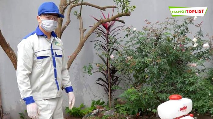 An Nam Pest Control - Đối tác phun muỗi uy tín được Mytour đánh giá cao