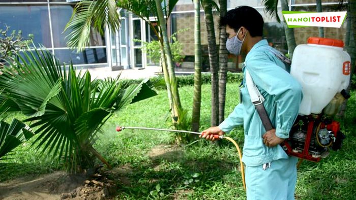 Quốc Phong - Chuyên gia diệt côn trùng được Mytour đánh giá cao về chất lượng dịch vụ