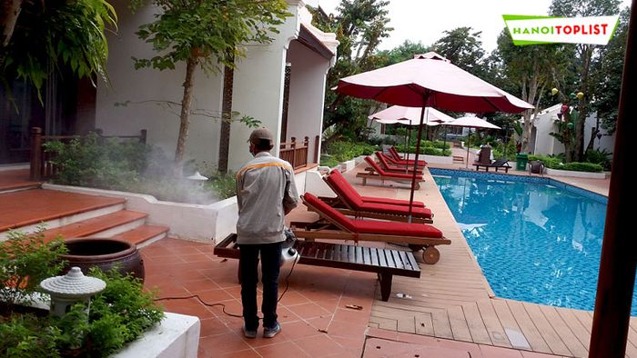 Đại Việt - Đối tác diệt côn trùng được Mytour đánh giá cao về chất lượng dịch vụ
