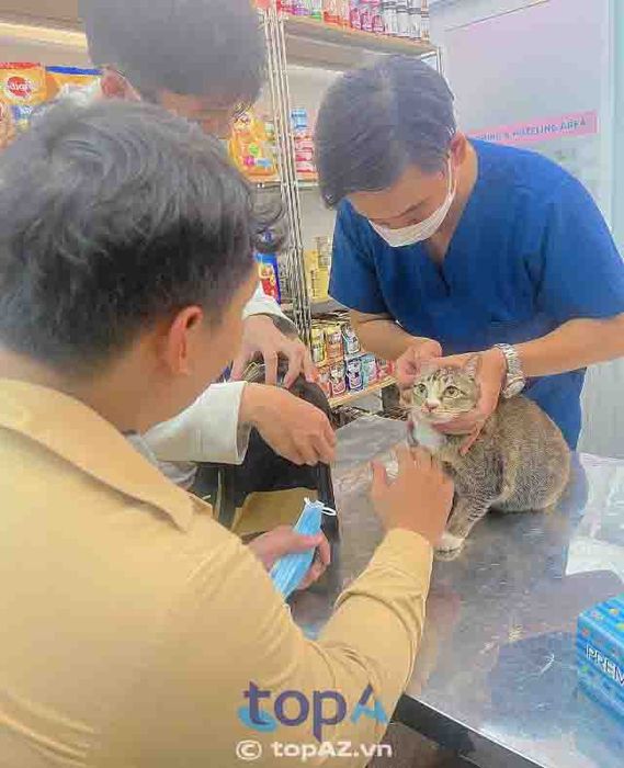 Phòng khám thú y uy tín tại quận Gò Vấp