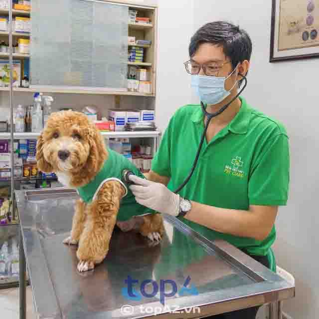 Hệ thống phòng khám thú y chất lượng cao tại quận Gò Vấp